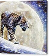 Leopard Moon Canvas Print