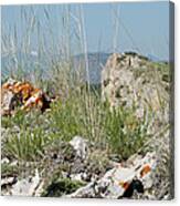 Lichen Covered Rocks At Missouri Headwaters State Park Montana Canvas Print
