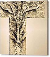 Lichen Cross Bronze Canvas Print