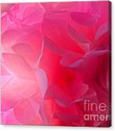 Light Petal Abstract Canvas Print