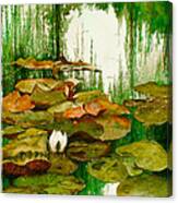 Reflections Among The Lily Pads Canvas Print