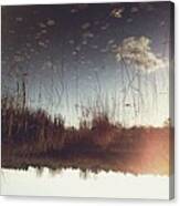 Lily Pads In The Sky Canvas Print