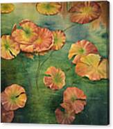 Lilypads Canvas Print