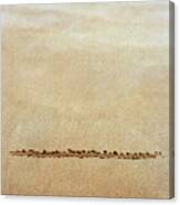 Line Drawn In Sand Canvas Print