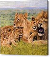 Lion Family Canvas Print