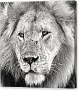 Lion King Canvas Print