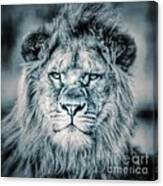 Lion Portrait In Monochrome Ii Canvas Print