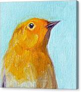 Little Bird Canvas Print