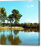 Little Creek Canvas Print