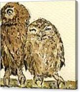 Little Owls Canvas Print