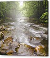 Little Pigeon River Great Smoky Mountains National Park Tn Canvas Print