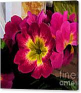 Little Primrose Flowers Canvas Print