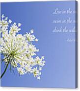 Live In The Sunshine Canvas Print