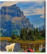 Logan Pass In Glacier National Park Canvas Print