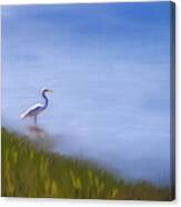 Lone Egret Painting Canvas Print