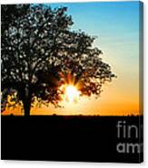 Lone Tree At Sunset Canvas Print