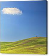 Lone Tree In Tuscany Canvas Print