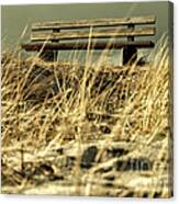 Lonely Bench Canvas Print