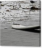 Lonely Surfboard Canvas Print