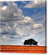 Lonely Tree On Plowed Soil Canvas Print