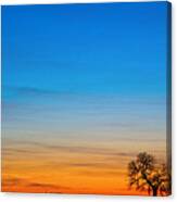 Lonely Tree On The Plains Canvas Print