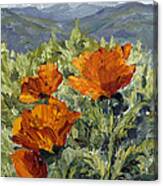 Longs Peak Poppies Canvas Print