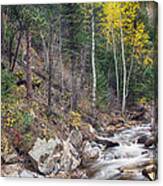 Looking Up The South St Vrain Canyon Canvas Print