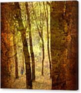 Lost In The Dreamland Woods Canvas Print