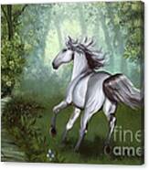 Lost In The Forest Canvas Print
