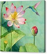 Lotus And Hummingbird Canvas Print