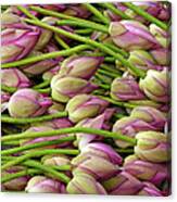 Lotus Flowers At Market Canvas Print