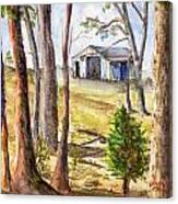 Louisiana Barn Through The Trees Canvas Print