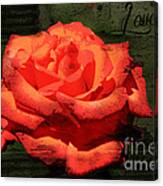 Love N Rose Canvas Print