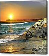 Loved By The Sun Canvas Print