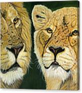 Lovely Lions Canvas Print