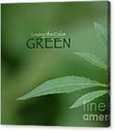 Loving The Color Green Group Avatar Canvas Print