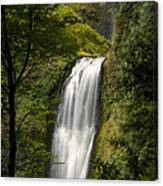 Lower Multnomah Falls Canvas Print