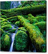 Lower Proxy Falls Canvas Print