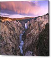 Lower Yellowstone Falls  Wyoming Canvas Print
