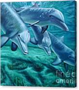 Loyal Dolphins Canvas Print