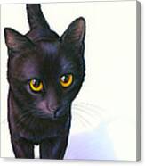 Lucky Cat Canvas Print