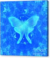 Luna Moth Blue Canvas Print