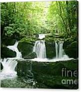 Lynn Camp Prong Falls Canvas Print