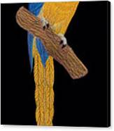 Macaw Parrot Canvas Print