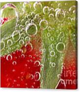 Macro Of Strawberry In Water Canvas Print