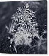 Macro Snowflake Canvas Print