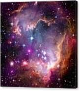 Magellanic Cloud 3 Canvas Print