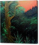 Magic Forest Canvas Print