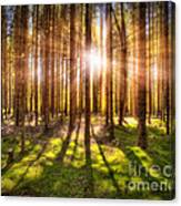 Magic Light Canvas Print