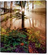 Magical Forest Canvas Print